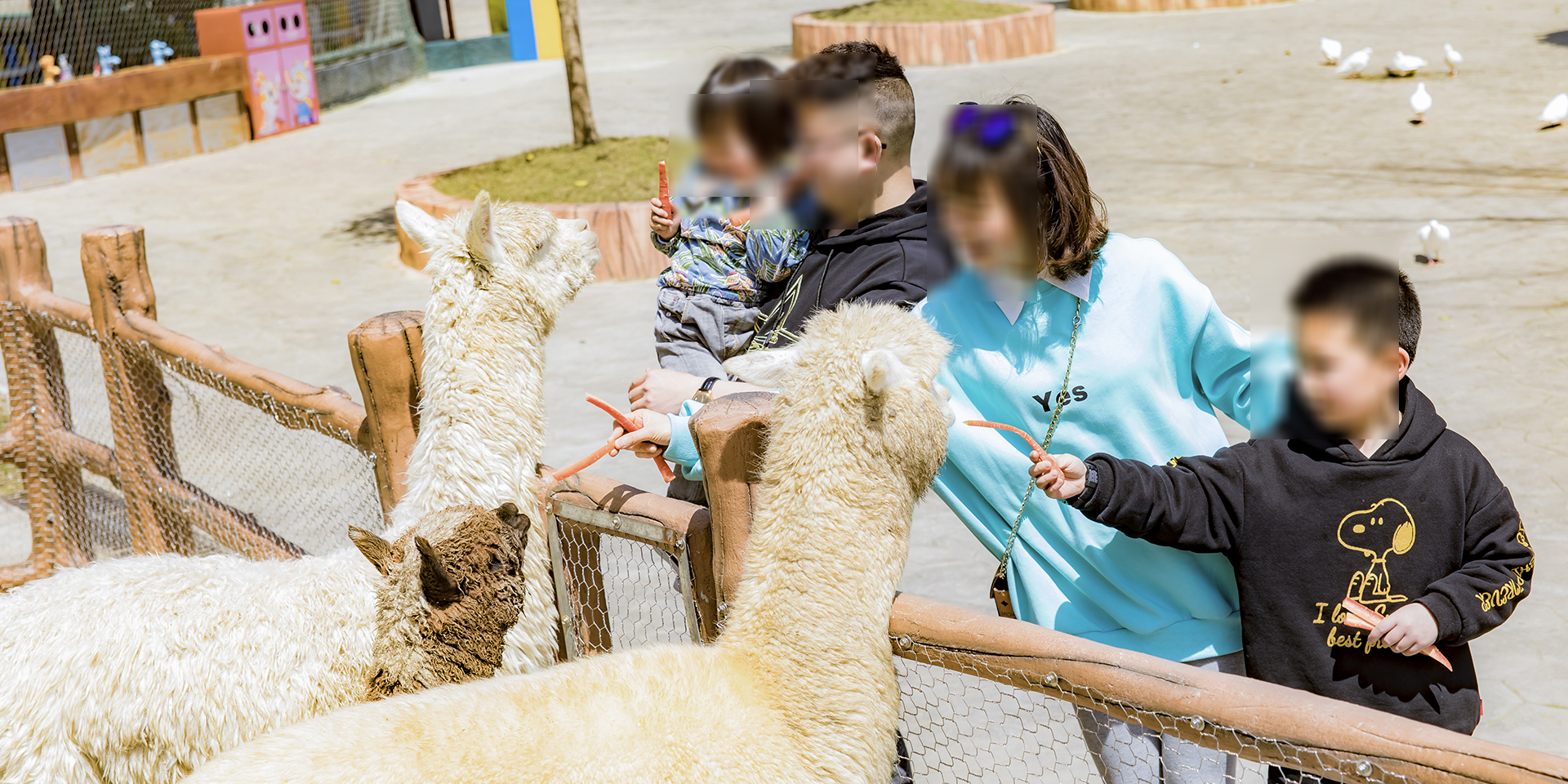 -浙江鵬鳴游樂設備有限公司