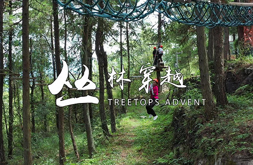 叢林穿越-浙江鵬鳴游樂設備有限公司