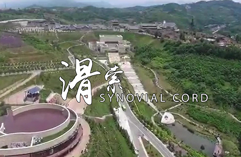 滑索-浙江鵬鳴游樂設備有限公司