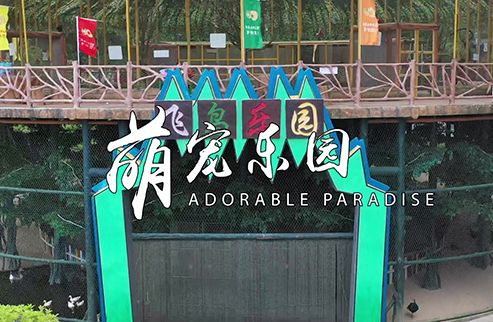 萌寵樂園-浙江鵬鳴游樂設備有限公司